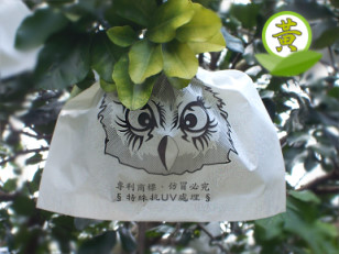 �i���~�j�¨��j�լc 10 ���