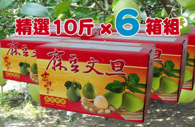 �c�R��i���j�¨��她§�� 10 ��� - 6 �c��