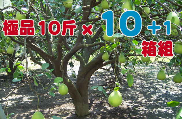 �c�R��i���~�j�¨��她§�� 10 + 1 ����e§�զX