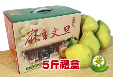 ���~�¨��她§�� 5��ˡ]�p���^