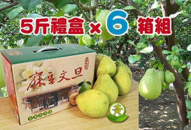 �c�R�㷥�~�¨��她§�� 5��ˡ]�p���^x 6 �c��