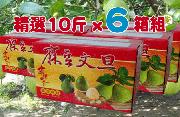 �c�R��i���j�¨��她§�� 10 ��� - 6 �c��